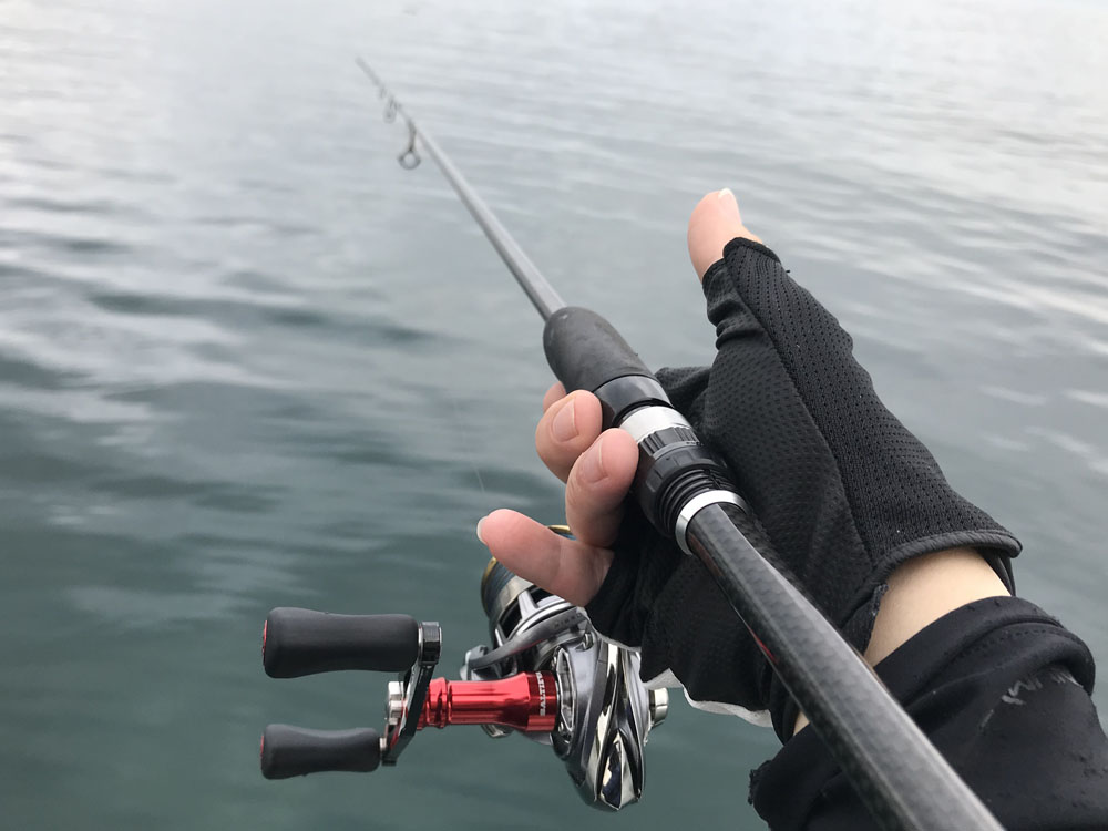 春のキャストエギング ターゲットは2kgオーバーのアオリイカ 釣king 釣行ガイド