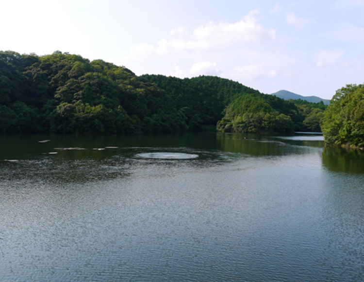 ブラックバスフィッシング！！なつかしのメジャーレイクでセコ釣り体験