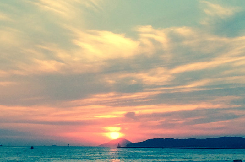 シーバス釣り 御笠川 糸島 桜井川