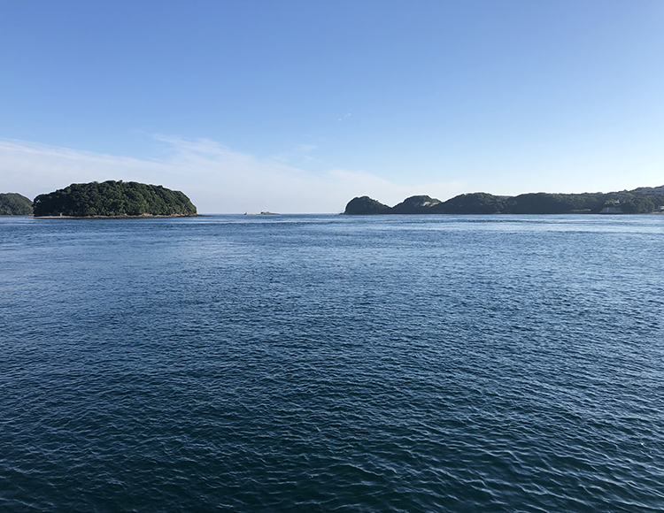 釣king店長ハマーと行く 晩秋の堤防から狙うシイラフィッシング！