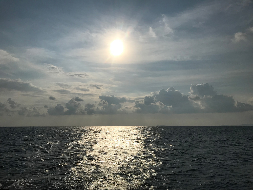 ヒラマサプラッキングと石鯛釣行！ヒラマサ10kg、石鯛60up！！釣りたいw