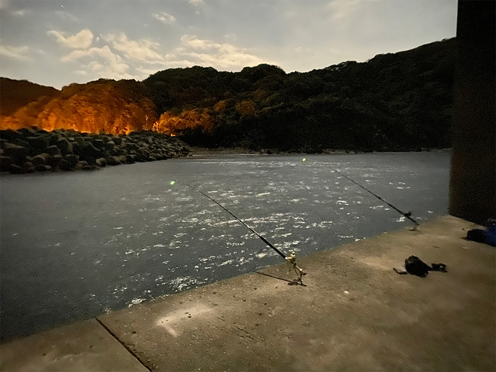 釣kingのスタッフ研修！クエ釣りとBBQとしゃぶしゃぶ！！