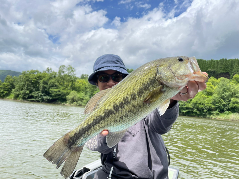 大分県竹田市芹川ダム！7月 真夏のバスフィッシング！